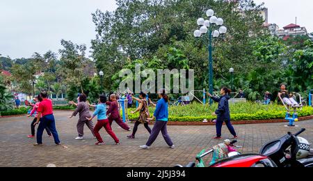 Eine Gruppe von Menschen, die in Hanoi Tai Chi praktizieren. Stockfoto