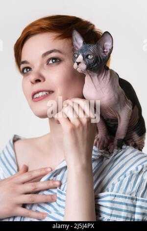 Sphynx Kätzchen sitzt auf der Schulter einer glücklichen rothaarige junge Frau. Selektiver Fokus auf Katze. Hipster-Hündin mit kurzen Haaren in gestreiften weiß-blauen s Stockfoto