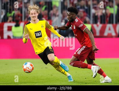 München, Deutschland. 23. April 2022. Alphonso Davies (R) von Bayern München spielt mit Julian Brandt von Dortmund während eines Bundesliga-Spiels zwischen Bayern München und Borussia Dortmund am 23. April 2022 in München. Bayern München gewann 3-1 und holte sich den Bundesliga-Titel 10. in Folge. Quelle: Philippe Ruiz/Xinhua/Alamy Live News Stockfoto