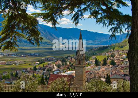 Blick auf das Dorf Tramin in Südtirol in Italien Stockfoto