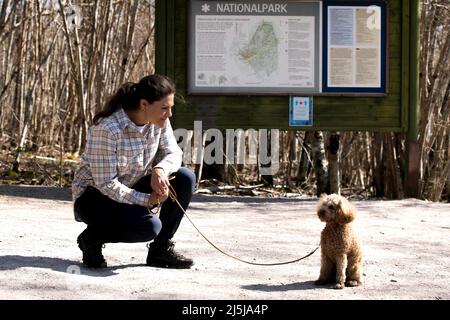 Kronprinzessin Victoria und ihr Hund Rio auf einer Wanderung im Garphyttan-Nationalpark bei Orebro, Schweden, am 22. April 2022. Foto von Stella Pictures/ABACAPRESS.COM Stockfoto