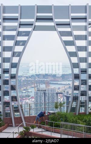 Vertikale Ansicht eines Gärtners mit Eimer Hut macht seine Gartenarbeit auf CapitaSpring Sky Garden. Singapur. 2022. Stockfoto