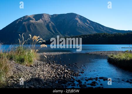 ToiToi Gras wächst am Ufer des Lake Rotoiti, Nelson Lakes National Park, South Island, Neuseeland Stockfoto