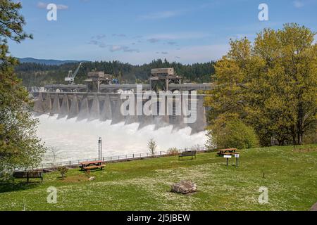 Bonneville-Staudamm, der das Wasser vor den Toren des Staudamms freisetzt, Bundesstaat Oregon. Stockfoto