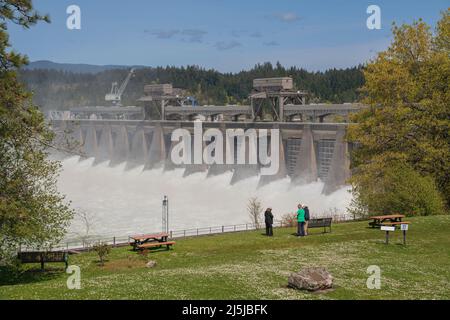 Bonneville-Staudamm, der das Wasser vor den Toren des Staudamms freisetzt, Bundesstaat Oregon. Stockfoto