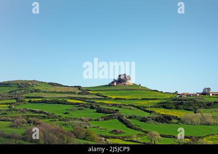 Sardinien Landschaft im Frühjahr in der Nähe von Sassari Stockfoto