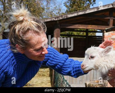 Kienitz, Deutschland. 12. April 2022. Die Berliner Urlauberin Claudia Kleinert streichelt ein paar Tage altes Lamm der Rasse Skudden auf dem Erlenhof. Der Ferienhof im Mittleren Oderbruch bietet von April bis Oktober naturnahe Ferien auf weitläufiger Fläche und Übernachtungen in sechs Schäferkutschen sowie in einer Blockhütte. Maximal 15 Gäste finden auf dem Bauernhof Platz zum Schlafen, und es gibt weder Fernseher noch Radios in den Waggons und in der Kabine. (To dpa: ' 'Schäferstündchen im Schäferwagen' im Oderbruch') Quelle: Soeren Sache/dpa/Alamy Live News Stockfoto