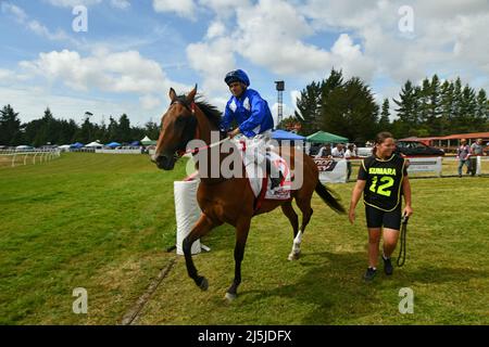 KUMARA, NEUSEELAND, 8. JANUAR 2022; Ein Jockey reitet auf dem Feld beim Gold Nuggets Wettbewerb auf der Kumara Race Track, 8. Januar Stockfoto