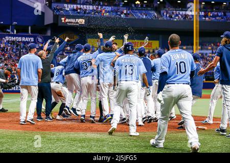 St. Petersburg, Florida. USA; die Tampa Bay Rays warten darauf, dass der Tampa Bay Rays Center-Fielder Kevin Kiermaier (39) nach Hause knallt und das Heimstadion feiert Stockfoto