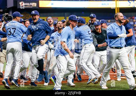 St. Petersburg, Florida. USA; die Tampa Bay Rays warten darauf, dass der Tampa Bay Rays Center-Fielder Kevin Kiermaier (39) nach Hause knallt und das Heimstadion feiert Stockfoto
