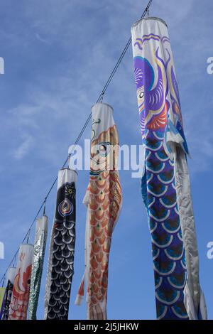 achi Village, nagano, japan, 2022/23/04 , Koinobori im Achi-mura Village in Nagano, einem der besten Orte, um Pfirsichblüten zu sehen. Koinobori, Stockfoto