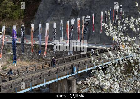 achi Village, nagano, japan, 2022/23/04 , Koinobori im Achi-mura Village in Nagano, einem der besten Orte, um Pfirsichblüten zu sehen. Koinobori, Stockfoto