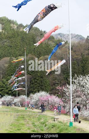 achi Village, nagano, japan, 2022/23/04 , Koinobori im Achi-mura Village in Nagano, einem der besten Orte, um Pfirsichblüten zu sehen. Koinobori, Stockfoto