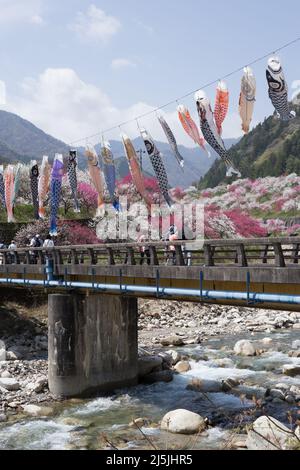 achi Village, nagano, japan, 2022/23/04 , Koinobori im Achi-mura Village in Nagano, einem der besten Orte, um Pfirsichblüten zu sehen. Koinobori, Stockfoto