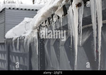 Große Eiszapfen hängen vom Dach. Eiszapfen schmelzen und Schnee schmelzen im Frühjahr. Grauer Betonzaun unter dem Schnee Stockfoto