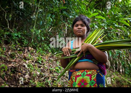 Embera indianerin mit Ernte im Regenwald in der Nähe des Dorfes neben Rio Pequeni, Provinz Colon, Republik Panama, Mittelamerika. Stockfoto