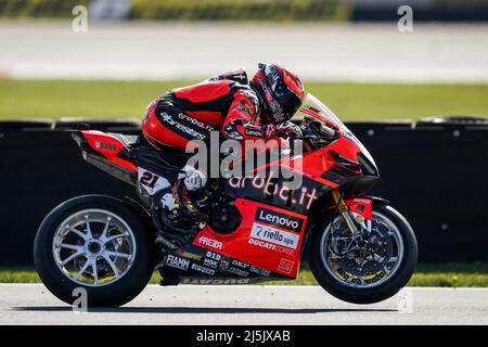 ASSEN, NIEDERLANDE - 24. APRIL: Michael Ruben Rinaldi aus Italien fährt während der FIM Superbike-Weltmeisterschaft Tissot Superpole Race während der WorldSBK Motul Dutch Round auf dem TT Circuit Assen am 24. April 2022 in Assen, Niederlande (Foto: Andre Weening/Orange Picles) Stockfoto