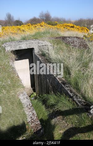 St Cyrus National Nature Reserve The Old Lifeboat Station, Montrose DD10 0AQ. Vergrabener Betonbunker aus dem zweiten Weltkrieg Stockfoto