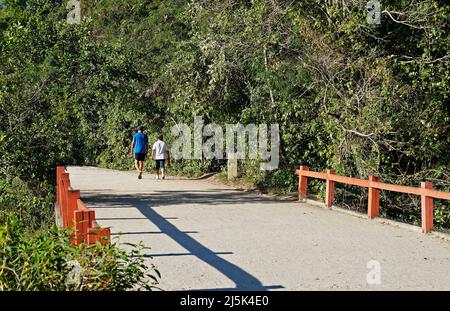 Paar wandern auf dem Weg in einem öffentlichen Park in Barra da Tijuca, Rio Stockfoto