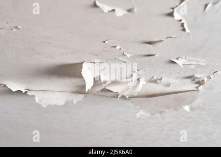 Die Farbe blättert aufgrund der Feuchtigkeit an der Decke des Badezimmers nach einem Wasseraustritt. Feuchtigkeit und Kondensation im Raum. Nahaufnahme Stockfoto