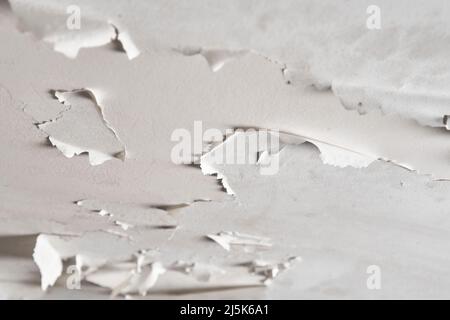 Die Farbe blättert aufgrund der Feuchtigkeit an der Decke des Badezimmers nach einem Wasseraustritt. Feuchtigkeit und Kondensation im Raum. Nahaufnahme Stockfoto