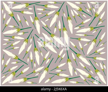 Schöne Blume, Illustration Hintergrund von weißen Michelia Alba oder weißen Champaca Blumen mit grünen Blättern. Stockfoto