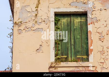 Nahaufnahme eines alten Fensters mit grünen Holzfenstern eines verlassenen Gebäudes mit schrurrenden Pflanzen und einer kaputten Wand. Venetien, Italien, Europa. Stockfoto