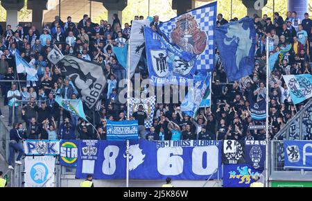 firo : 24.. April 2022, Fuvuball, 3. Bundesliga, Saison 2021/2022, MSV Duisburg - TSV Mvºnchen 1860 Fans TSV Stockfoto