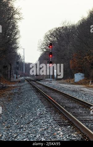 Norfolk Southern- und Amtrak-Bahnschienen in der Nähe des Historic Bridge Park in Calhoun Country in der Nähe von Battle Creek, Michigan, USA Stockfoto