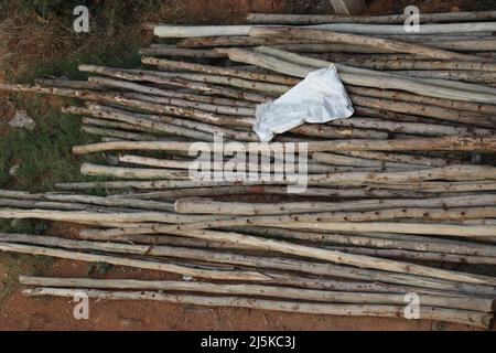 Eine Gruppe von Stützstangen oder Holzstützen, die für die Konstruktion verwendet werden, heißt Gerüste, die auf dem Boden liegen Stockfoto