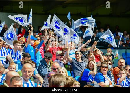 Brighton, Großbritannien. 24. April 2022. Brighton-Fans winken ihre Fahnen zur Unterstützung ihres Teams während des Premier League-Spiels zwischen Brighton & Hove Albion und Southampton beim Amex am 24. 2022. April in Brighton, England. (Foto von Jeff Mood/phcimages.com) Quelle: PHC Images/Alamy Live News Stockfoto