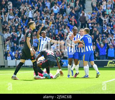 Brighton, Großbritannien. 24. Apr, 2022. Während des Premier League-Spiels zwischen Brighton & Hove Albion und Southampton beim Amex am 24. 2022. April in Brighton, England. (Foto von Jeff Mood/phcimages.com) Quelle: PHC Images/Alamy Live News Stockfoto