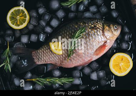 Kochen von Fisch, rohem Fisch auf einem Backblech mit Eiswürfeln, Zitronenscheiben und Rosmarinzweigen Stockfoto
