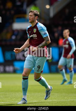 Turf Moor, Burnley, Lancashire, Großbritannien. 24. April 2022. Premier League Football, Burnley versus Wolverhampton Wanderers: Wout Weghorst of Burnley Credit: Action Plus Sports/Alamy Live News Stockfoto