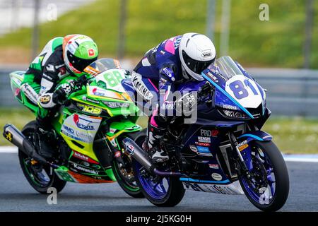 ASSEN, NIEDERLANDE - 24. APRIL: Ioannis Peristeras aus Griechenland während der WorldSBK Motul Dutch Round auf dem TT Circuit Assen am 24. April 2022 in Assen, Niederlande (Foto: Andre Weening/Orange Picles) Stockfoto