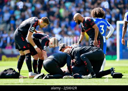 Brighton, Großbritannien. 24. April 2022. Tino Livramento aus Southampton wird während des Premier League-Spiels zwischen Brighton & Hove Albion und Southampton beim Amex am 24. 2022. April in Brighton, England, behandelt. (Foto von Jeff Mood/phcimages.com) Quelle: PHC Images/Alamy Live News Stockfoto