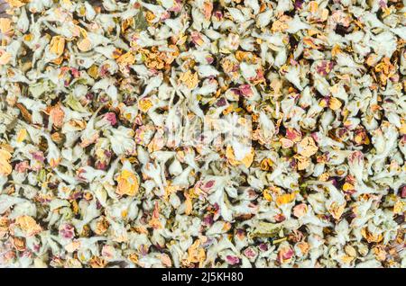 Der Blumen-Tee. Getrocknet von Apfelblüten strukturiert. Stockfoto