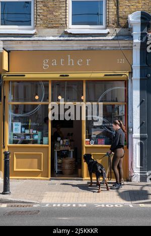 Hundewanderer in Bellenden Road Peckham London Stockfoto