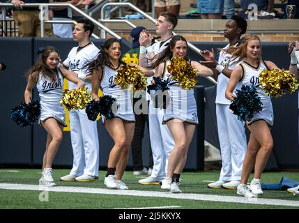 South Bend, Indiana, USA. 23. April 2022. Cheerleader von Notre Dame während des jährlichen Fußballspiels „Blue-Gold Spring“ von Notre Dame im Notre Dame Stadium in South Bend, Indiana. Gold besiegte Blau 13-10. John Mersits/CSM/Alamy Live News Stockfoto