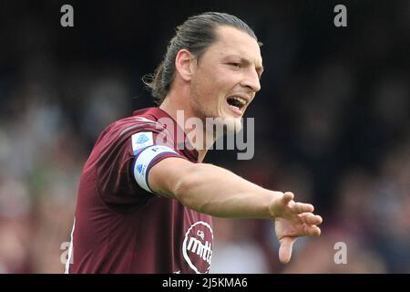 Salerno, Italien. 24. April 2022. Milan Djuric Spieler von Salernitana, während des Spiels der italienischen Serie A Liga zwischen Salernitana gegen Fiorentina Endergebnis, Salernitana 2, Fiorentina 1, Spiel im Arechi-Stadion gespielt. Salerno, Italien, 24. April 2022. (Foto von Vincenzo Izzo/Sipa USA) Quelle: SIPA USA/Alamy Live News Stockfoto