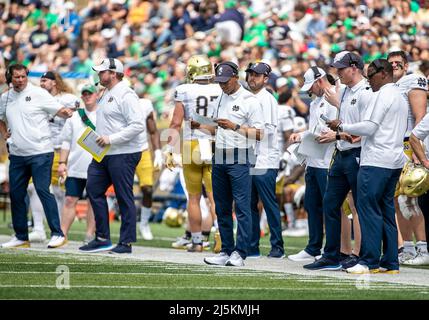 South Bend, Indiana, USA. 23. April 2022. Gold-Trainer am Rande des jährlichen Fußballspiels „Notre Dame Blue-Gold Spring“ im Notre Dame Stadium in South Bend, Indiana. Gold besiegte Blau 13-10. John Mersits/CSM/Alamy Live News Stockfoto