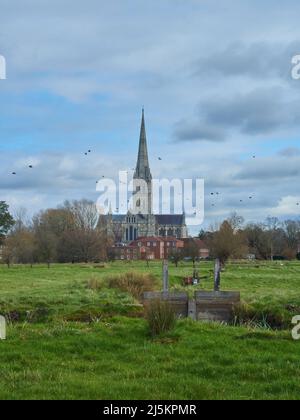 Ein Blick auf die Salisbury Cathedral in schiefem Sonnenlicht, mit Blick über das Grün der Harnham Water Meadows und einem blauen und watte-wolkenbehangenen Himmel. Stockfoto