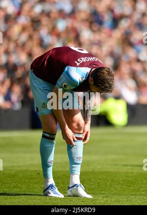 Turf Moor, Burnley, Lancashire, Großbritannien. 24. April 2022. Premier League Football, Burnley versus Wolverhampton Wanderers: Wout Weghorst of Burnley Credit: Action Plus Sports/Alamy Live News Stockfoto