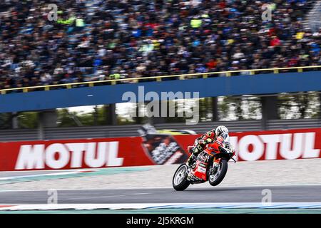 ASSEN - Alvaro Bautista (ESP) auf seiner Ducati beim World Superbike Rennen auf dem TT Circuit Assen. ANP VINCENT JANNINK Stockfoto