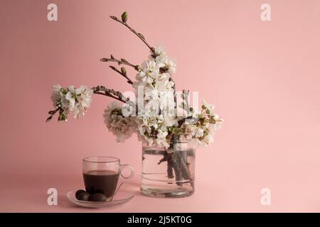 Transparente Tasse Kaffee neben einer Glasvase mit blühenden Frühlingszweigen auf einem rosa Hintergrund Stockfoto