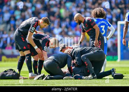 Brighton, Großbritannien. 24. April 2022. Tino Livramento aus Southampton wird während des Premier League-Spiels zwischen Brighton & Hove Albion und Southampton beim Amex am 24. 2022. April in Brighton, England, behandelt. (Foto von Jeff Mood/phcimages.com) Quelle: PHC Images/Alamy Live News Stockfoto