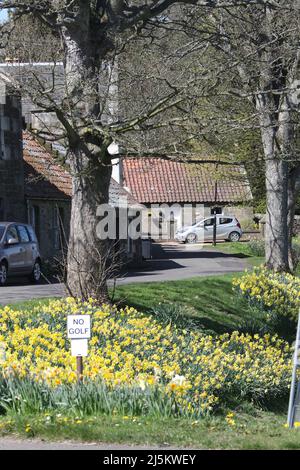 Ceres, Fife, Schottland, Großbritannien. Das Hotel liegt in einem kleinen tal etwa 2 Meilen über dem Ceres Moor von Cupar und 7 Meilen von St Andrews entfernt. Die ehemalige Pfarrei mit diesem Namen umfasste die Siedlungen Baldinnie, Chance Inn, Craigrothie, Pitscottie und Tarvit Mill. Es ist auch der Ort für das Fife Folk Museum. Die malerischen Dorfhäuser Stockfoto