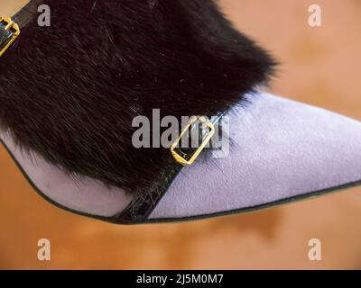 Giannico Damenschuhe. Giannico Italienische Luxusschuhe. Stockfoto