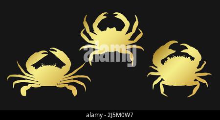 Setzen goldene Krabbe Zeichen-Symbol auf schwarzem Hintergrund. Golde Vektor Clipart Illustration. Stock Vektor