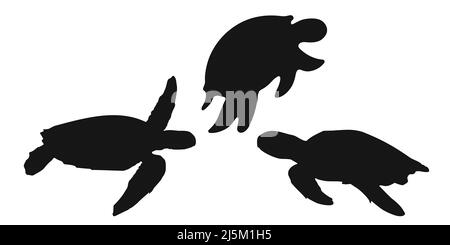 Setzen Sie das Symbol für die schwarze Schildkröte oder Schildkröte auf weißen Hintergrund. Vektorgrafik Clipart. Stock Vektor